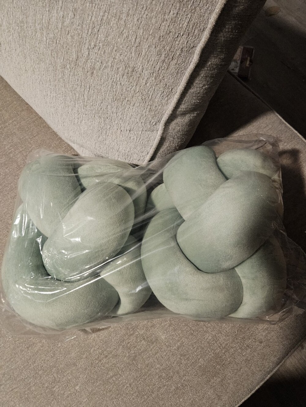 Set Of 2 Knot Throw Pillow - Mint Green 10in D